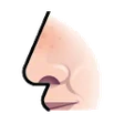 Naso (16)