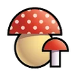 Funghi (43)
