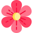 I fiori — figura della Smorfia napoletana per il numero 81
